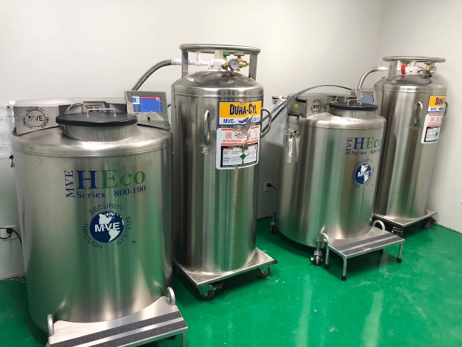 查特杜瓦瓶 查特杜瓦瓶